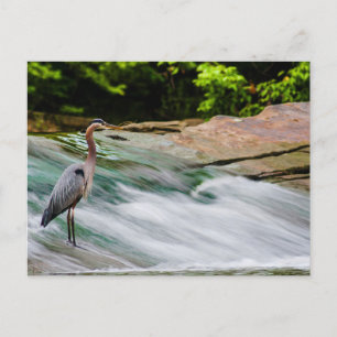 David Fortier River Park, Olmsted Herfsten, Ohio Briefkaart