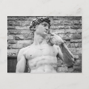 David (Michelangelo) Briefkaart