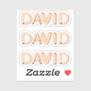 David Name in Ggloed Neon Lights Sticker