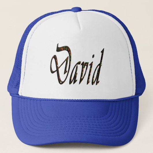 David Name Logo, Trucker Pet (Voorkant)