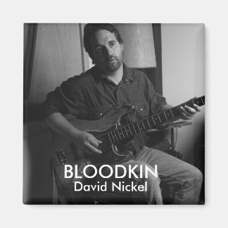 DAVID NICKEL MAGNET MAGNEET