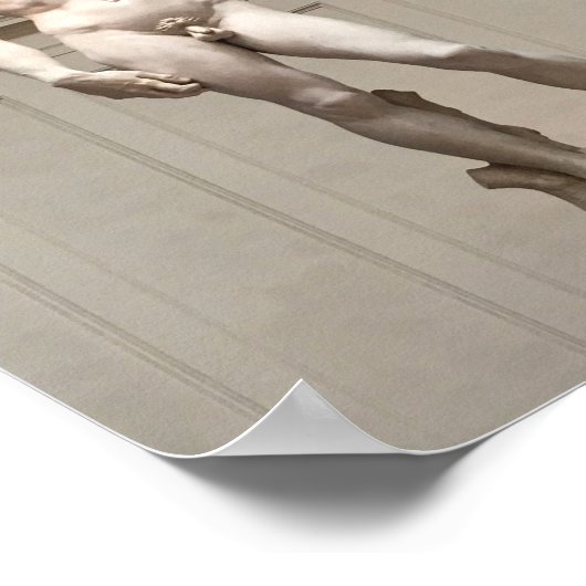 David Statue van Michelangelo Poster (Hoek)