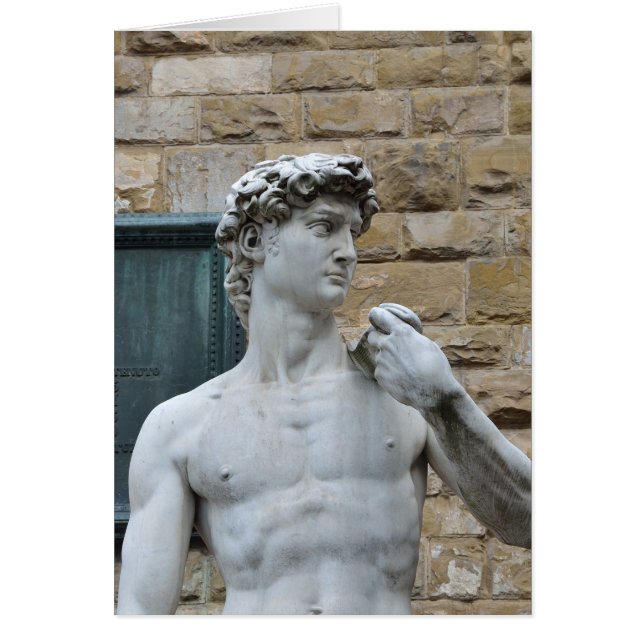 David van Michelangelo (Voorkant)