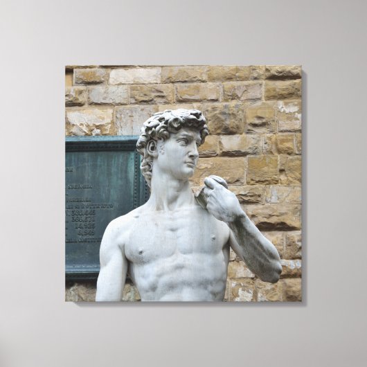 David van Michelangelo Canvas Afdruk (Voorkant)
