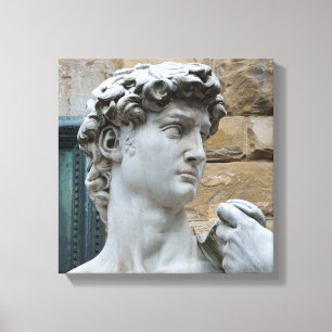 David van Michelangelo Canvas Afdruk