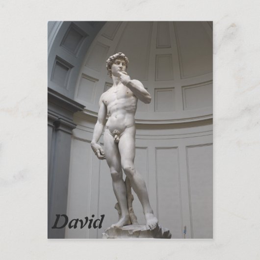 David van Michelangelo- Florence Briefkaart (Voorkant)