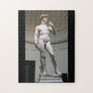 David van Michelangelo, Florence Italië Legpuzzel