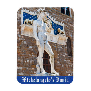 David van Michelangelo, Florence, Toscane, Italië Magneet