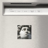 David van Michelangelo Magneet (Insitu (Vaatwasser))