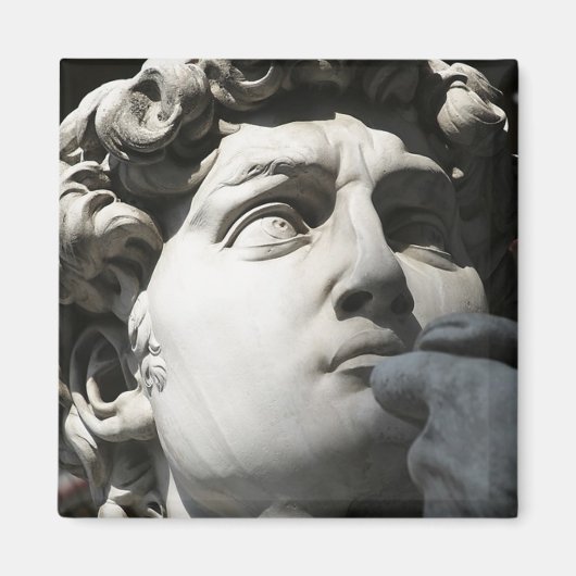 David van Michelangelo Magneet (Voorkant)