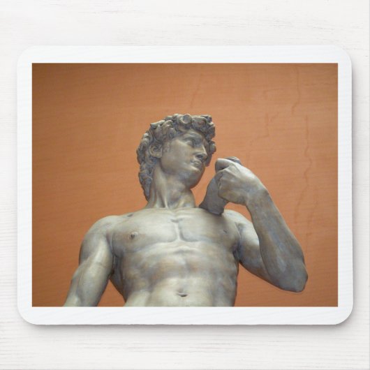 David van Michelangelo Muismat (Voorkant)