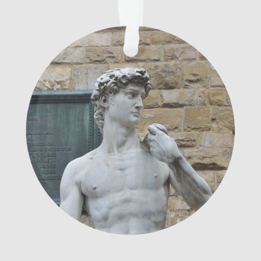David van Michelangelo Ornament (achterkant)