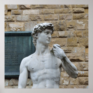 David van Michelangelo Poster