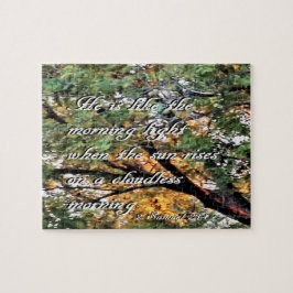 David's Last Song Legpuzzel