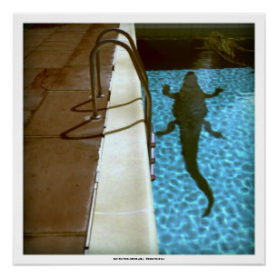 DAVID'S POOL SERIES p08b- Poster 3D Computer ART