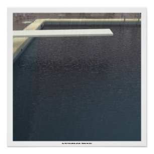 DAVID'S POOL SERIES p09e05 - Poster 3D Computer AR