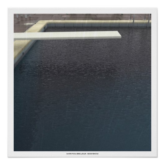 DAVID'S POOL SERIES p09e05 - Poster 3D Computer AR (Devant)