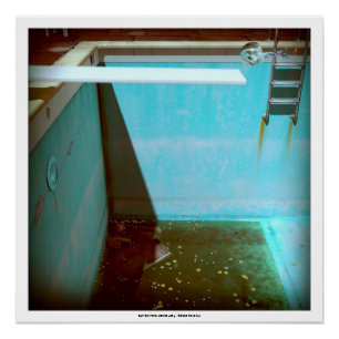 DAVID'S POOL SERIES p09g- Poster 3D Computer ART