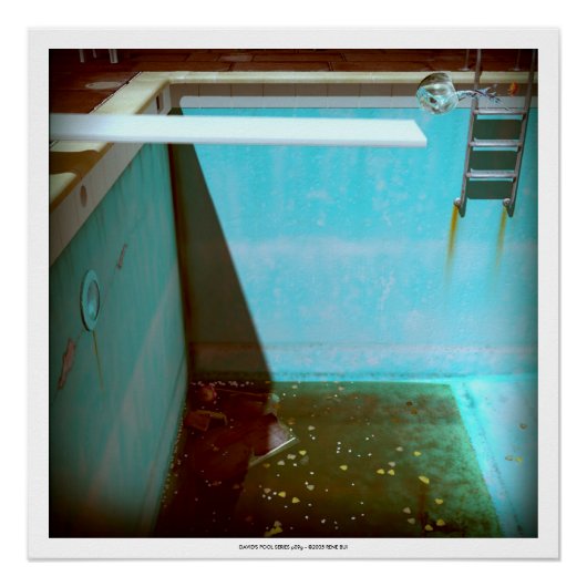 DAVID'S POOL SERIES p09g- Poster 3D Computer ART (Devant)