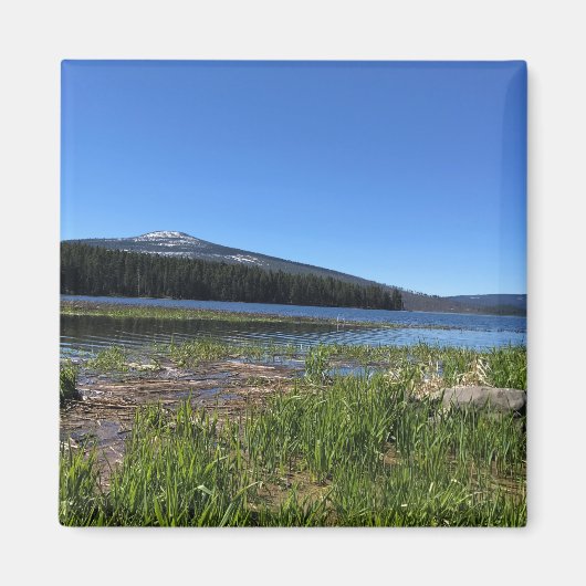 Davis Lake, OR Magneet (Voorkant)