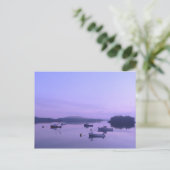 Dawn à la carte postale Lubec (Debout devant)