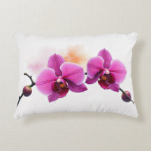 Dawn Bloom Orchidee