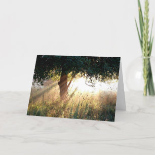 Dawn Deepest Sympathkkaart Kaart