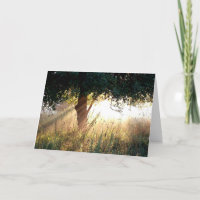 Dawn Deepest Sympathy Card