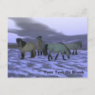 Dawn Horse Briefkaart