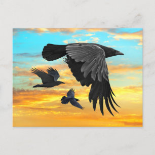 "Dawn Patrol"  Briefkaart