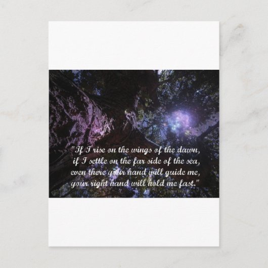 Dawn Rising Briefkaart (Voorkant)