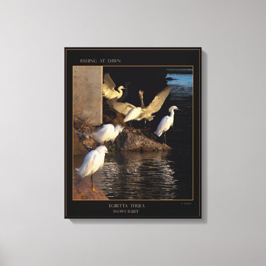 Dawn Snowy Egrets Wrapped Canvas Afdruk (Voorkant)