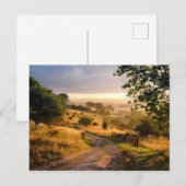 Dawn Sunshine | Engels Platteland Briefkaart (Voorkant / Achterkant)