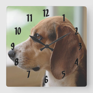 Day Dreaming Beagle Vierkante Klok