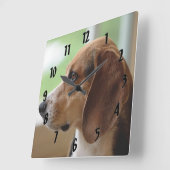 Day Dreaming Beagle Vierkante Klok (Hoek)