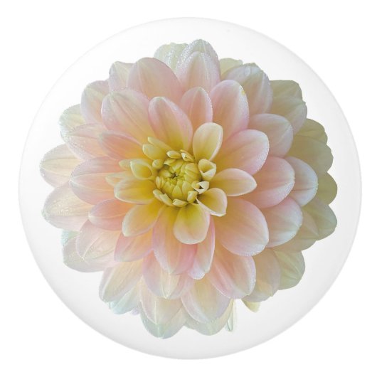 Day Dromer Waterlily Dahlia Keramische Knop (Voorkant)