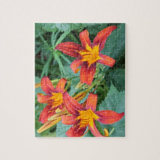 Day Lily Delight Legpuzzel (Verticaal)