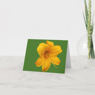 Day Lily Note Kaart