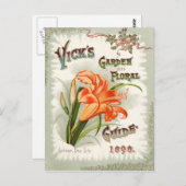 Day Lily Seed Packet  Briefkaart (Voorkant / Achterkant)
