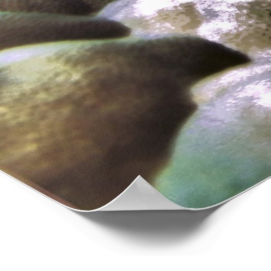 Day Octopus Poster (Hoek)