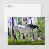 "Daybreak" Briefkaart (Voorkant / Achterkant)