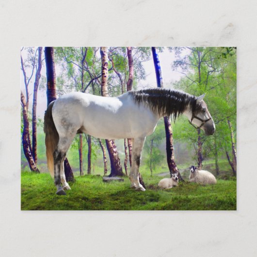 "Daybreak" Briefkaart (Voorkant)