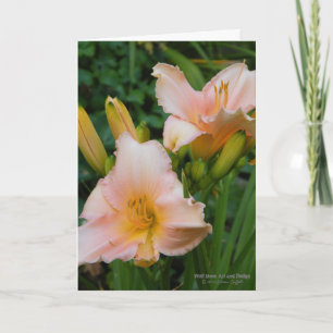 Daylilies / crème met roze onderdruk kaart