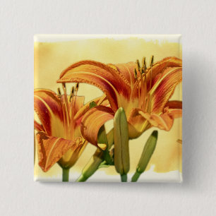 Daylilies - Hemerocallis Vierkante Button 5,1 Cm