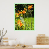 DayLillies Poster (Keuken)
