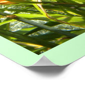 DayLillies Poster (Hoek)