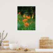 Daylillies, Sinaasappel Poster (Keuken)