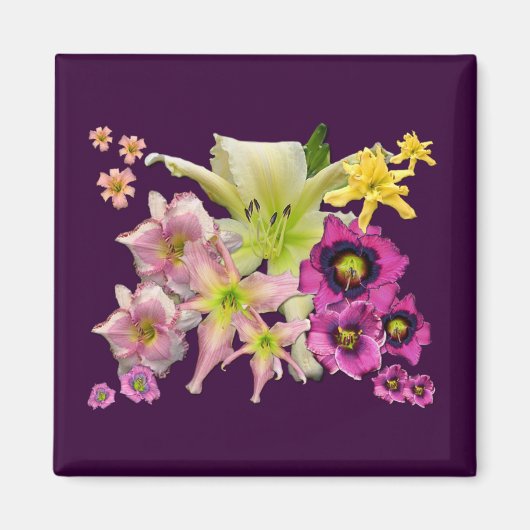 Daylily Collage Magneet (Voorkant)