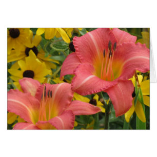 Daylily et Rudbeckia combinés