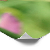 Daylily Garden Poster (Hoek)